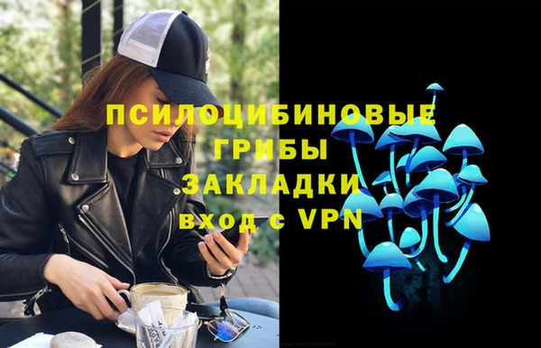 стафф Абинск